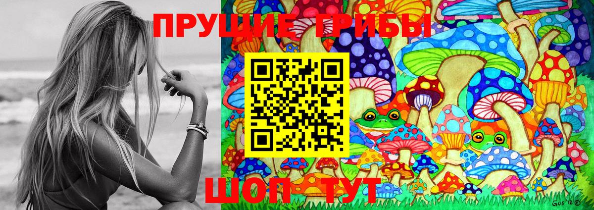 Псилоцибиновые грибы GOLDEN TEACHER  Галлюциногенные грибы Cubensis  Чусовой  Вход с VPN 